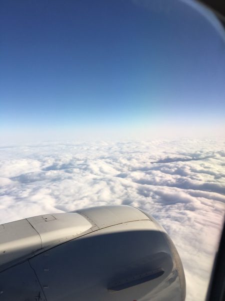 S__11780102