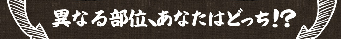 異なる部位、あなたはどっち？